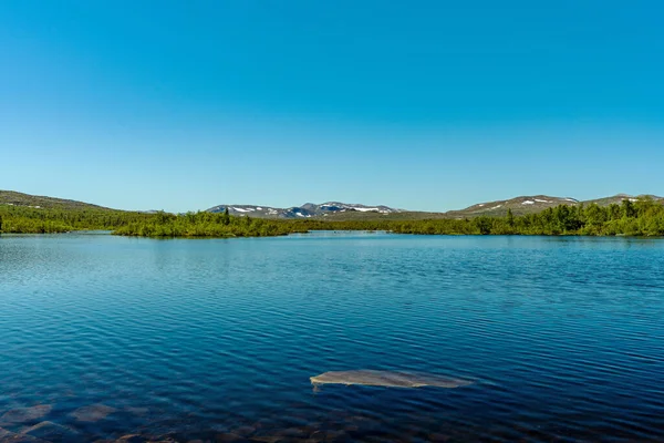 Mavi gökyüzü ve gün ışığıyla güzel bir yaz gününde, İsveç dağlarında ya da çayırlarda dağ zirveleri ve alçak yeşil bitki örtüsüyle küçük bir gölü görmek
