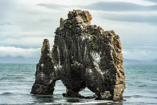 海からの大きな動物の飲料水の形をした岩や溶岩の形成 北アイスランドの海岸 フナ湾の海に立つ — ストック写真