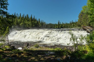 Kuzey İsveç 'te beyaz sifon suyu, mavi gökyüzü ve köknar ormanı çevreleyen yeşil bir şelalenin güzel manzarası.