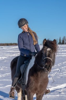İsveçli uzun kahverengi saçlı bir kız, İzlanda atının üzerinde, açık güneş ışığında, kışın soğuk bir İsveç 'te, karla kaplı bir arazide oturuyor.