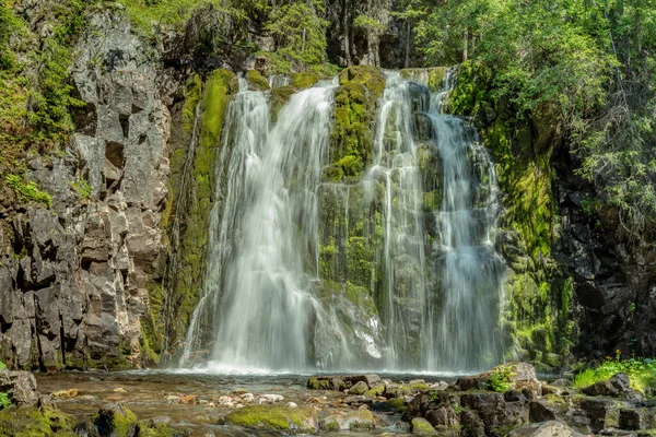 Ormanın ortasında güzel bir şelale, beyaz akan su, parlak güneş ışığıyla kaplı yeşil bir yosun tabakasının üzerine sifonu çekiyor.