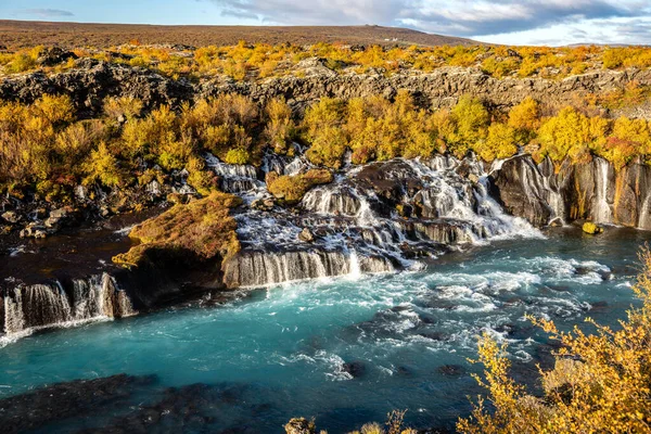 冰岛美丽的瀑布 碧绿的水穿过一片明亮的黄色秋天的灌木丛 — 图库照片