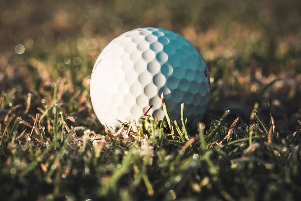一只白色的高尔夫球紧紧地躺在结冰的草地上 侧面的阳光使它发亮 — 图库照片