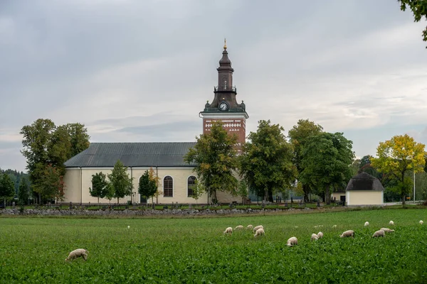 Iglesia Campo Sueco Con Una Manada Ovejas Pastando Campo Verde — Foto de Stock