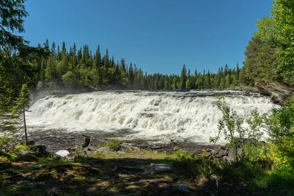 Kuzey İsveç 'te beyaz sifon suyu, mavi gökyüzü ve köknar ormanı çevreleyen yeşil bir şelalenin güzel manzarası.