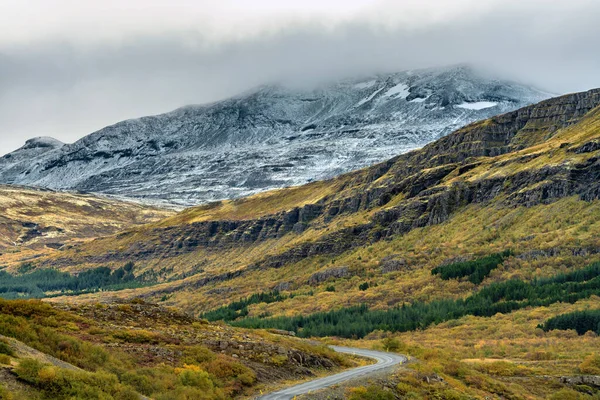 Gyönyörű Hegyi Kilátás Izlandról Egy Sárga Bokor Borított Hegy Előtérben — Stock Fotó