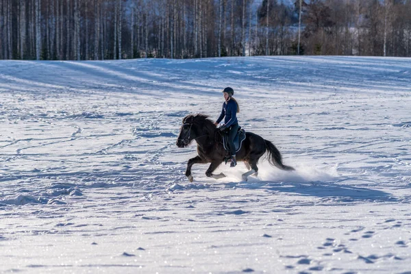 Vista Soleada Una Joven Sueca Montando Oscuro Caballo Islandés Campo — Foto de Stock