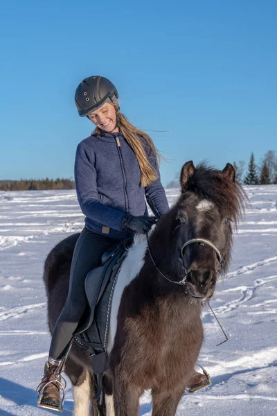 İsveçli uzun kahverengi saçlı bir kız, İzlanda atının üzerinde, açık güneş ışığında, kışın soğuk bir İsveç 'te, karla kaplı bir arazide oturuyor.