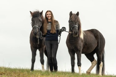 Genç bir kadın, en iyi iki arkadaşıyla, İzlanda atlarıyla bir tarlada duruyor. Beyaz arka planlı açık hava