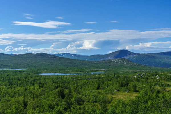Beautiful Summer View Vast Swedish Highlands Small Lakes Surrounded Green — 图库照片