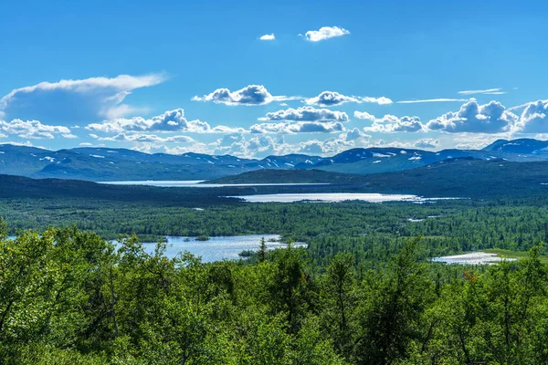 美丽的夏景来自瑞典广阔的高地 许多小湖泊被绿色的植被环绕 明亮的阳光和远处的山脉 — 图库照片