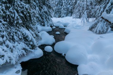 İsveç 'in kuzeyindeki bir ormanda, küçük bir derede akan su, zemini kaplayan kalın, yumuşak bir kar tabakasıyla.