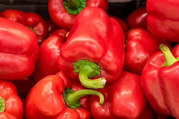 Sebze pazarında bir yığın kırmızı dolma biber. Ekolojik yetişmiş kırmızı biber meyveleri.