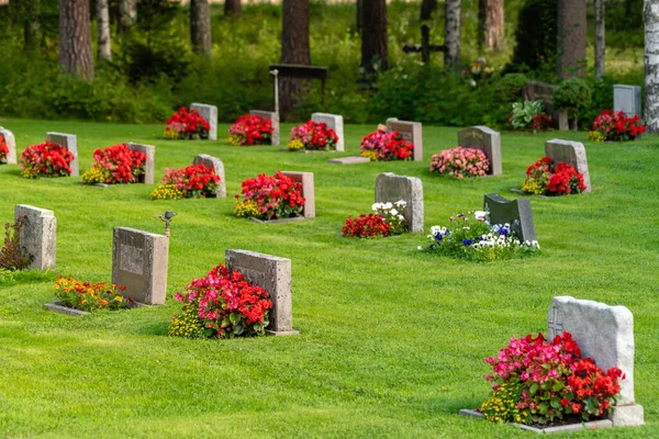 Zon Stralend Rijen Grafstenen Met Kleurrijke Rode Roze Bloemen Een — Stockfoto