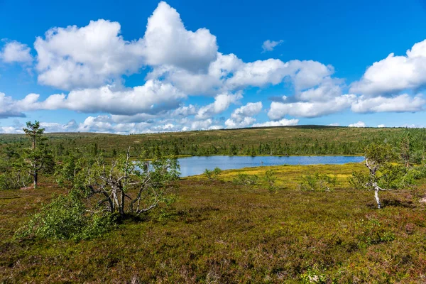 美丽的夏景来自瑞典广阔的高地 有一个小湖 只有低矮的植被 — 图库照片