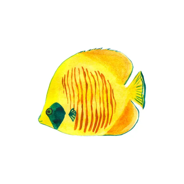 Sárga trópusi hal akvarell kézzel festett. Ábra elszigetelt fehér háttér — Stock Fotó