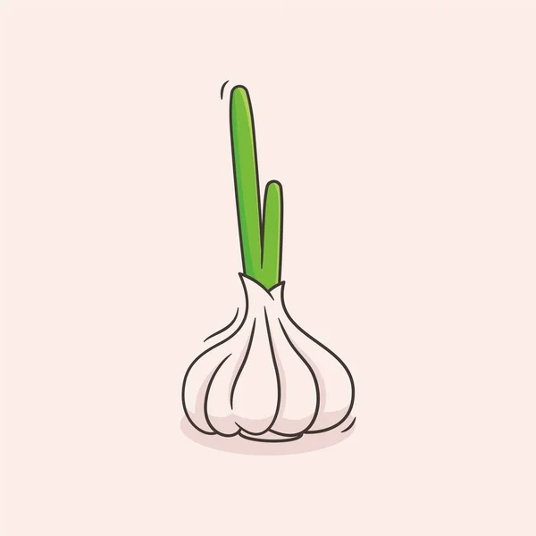 Sarımsak tohumunun çizim vektörü grafiği. Tarımsal ürünler vs. üzerine çizimler için mükemmel..