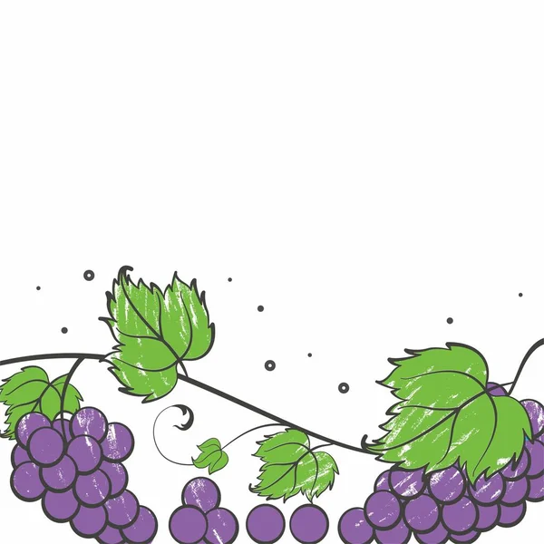 Üzümün çizim vektörü grafiği. Üzüm minimalist tarzı beyaz bir arka planda izole edilmiş. İllüstrasyon Banner, el ilanları, çıkartmalar vs. için uygundur.