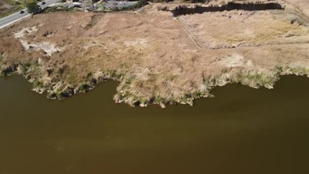 Aerial Drone Záběr Oceanside Jižní Kalifornii Modrým Tichým Oceánem Vlnami — Stock video