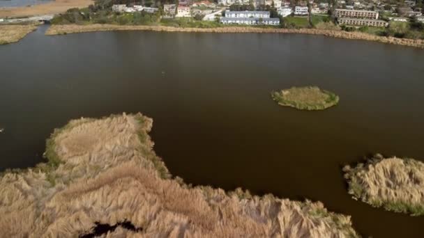 Aerial Drone Shot Oceanside Południowej Kalifornii Błękitnym Oceanem Spokojnym Fal — Wideo stockowe