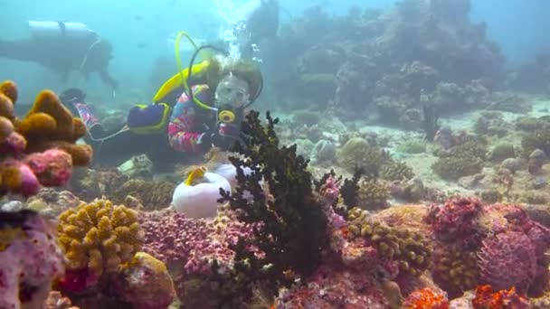 ピエロ魚とイソギンチャクの共生 モルディブ諸島の海岸での魅力的なダイビング — ストック動画