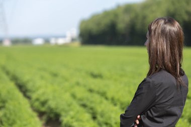 Dişi tarım girişimcisi yazın havuç tarlasına bakıyor.