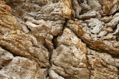 Deniz kenarından fotoğraflar: arka plan ve dokular