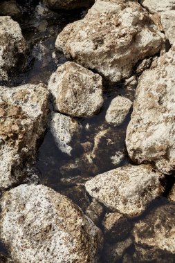 Deniz kenarından fotoğraflar: arka plan ve dokular