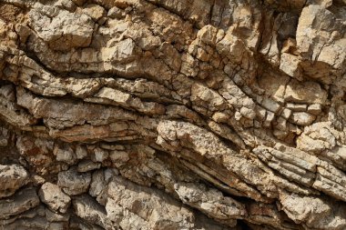 Deniz kenarından fotoğraflar: arka plan ve dokular