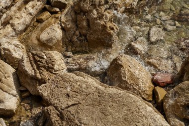 Deniz kenarından fotoğraflar: arka plan ve dokular