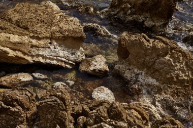 Deniz kenarından fotoğraflar: arka plan ve dokular