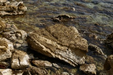 Deniz kenarından fotoğraflar: arka plan ve dokular