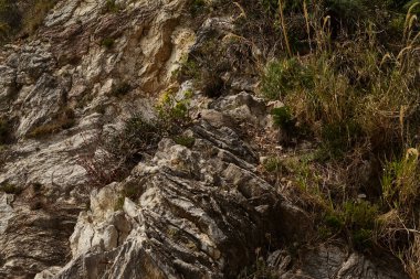 Deniz kenarından fotoğraflar: arka plan ve dokular