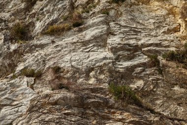 Deniz kenarından fotoğraflar: arka plan ve dokular