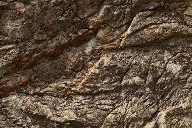 Deniz kenarından fotoğraflar: arka plan ve dokular