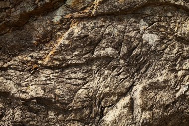 Deniz kenarından fotoğraflar: arka plan ve dokular