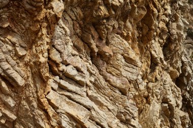 Deniz kenarından fotoğraflar: arka plan ve dokular