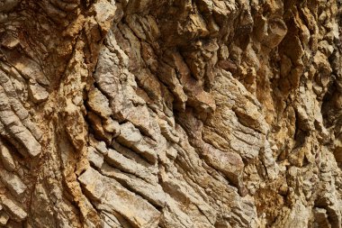 Deniz kenarından fotoğraflar: arka plan ve dokular