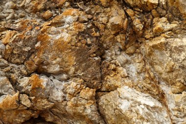 Deniz kenarından fotoğraflar: arka plan ve dokular