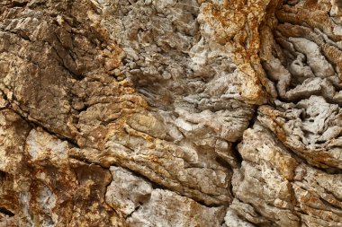 Deniz kenarından fotoğraflar: arka plan ve dokular