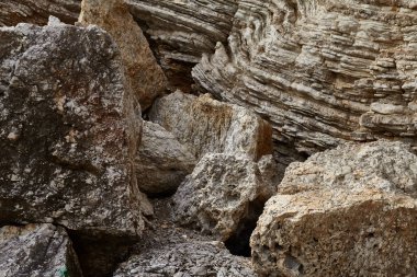 Deniz kenarından fotoğraflar: arka plan ve dokular