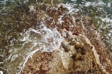 Deniz kenarından fotoğraflar: arka plan ve dokular