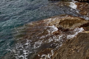 Deniz kenarından fotoğraflar: arka plan ve dokular