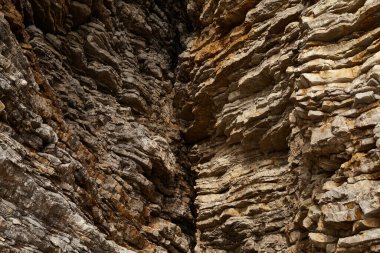 Deniz kenarından fotoğraflar: arka plan ve dokular