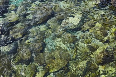 Deniz kenarından fotoğraflar: arka plan ve dokular