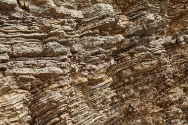 Deniz kenarından fotoğraflar: arka plan ve dokular