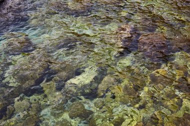 Deniz kenarından fotoğraflar: arka plan ve dokular