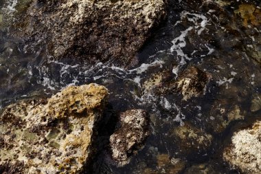 Deniz kenarından fotoğraflar: arka plan ve dokular