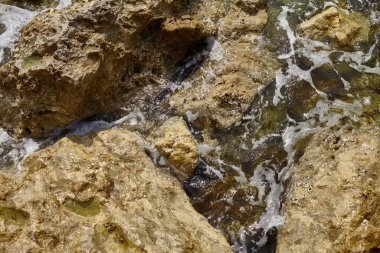 Deniz kenarından fotoğraflar: arka plan ve dokular