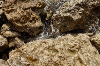 Deniz kenarından fotoğraflar: arka plan ve dokular